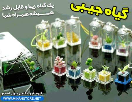 http://www.takshop91.biz/uploads/416_1408192146.jpg
